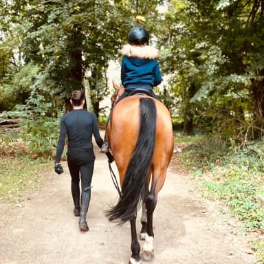En route pour notre changement de vie equestre