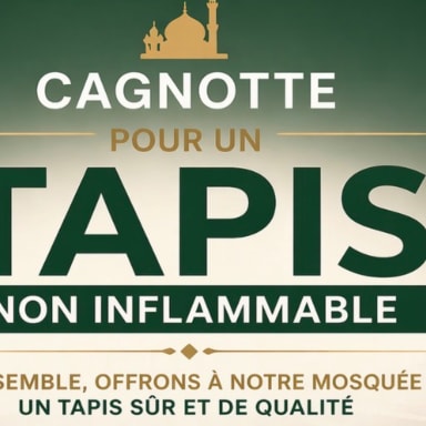 Cagnotte tapis non inflammable