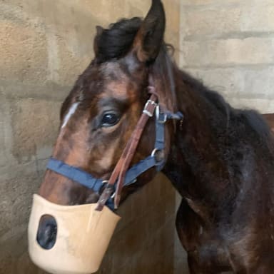 AIDER Olympe