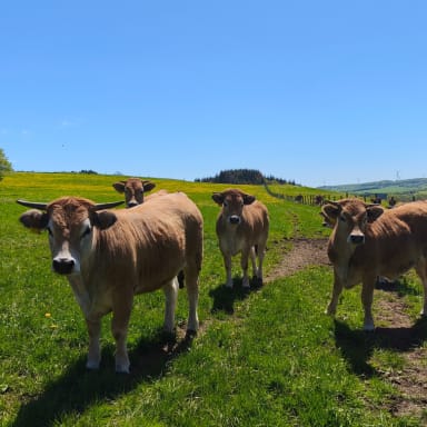 Soutenir Frederic du Cantal pour ses produits bios et sains