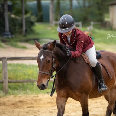 Championnat de France d’équitation