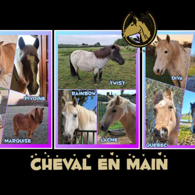 Un soutien pour "Cheval En Main"
