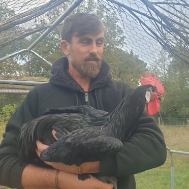 Soutenez la ferme spécialisée en volailles de races anciennes françaises