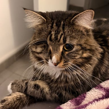 Aiko se bat pour vivre