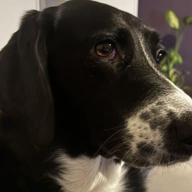 Bella à besoin de nous pour ces chimio