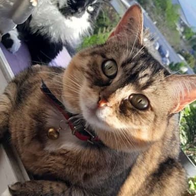 operation chirurgicale urgente pour Erza