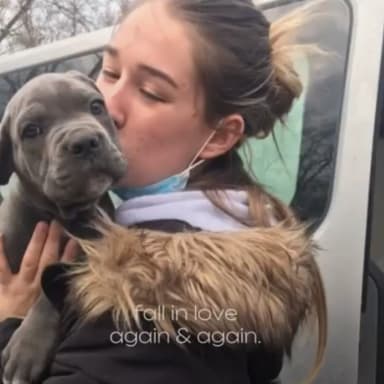 Spartacus alias cucus à sa mamy