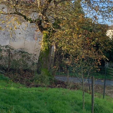 Mur de clôture