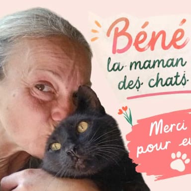Cagnotte pour Béné et ses chats