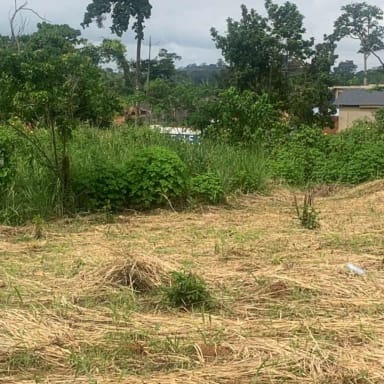 Parrainons Joel pour l’aider à reconstruire son avenir