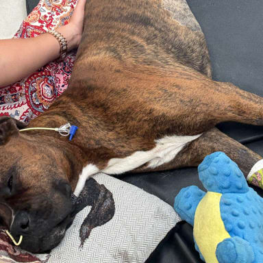 Pour Apy qui se bat contre le tétanos