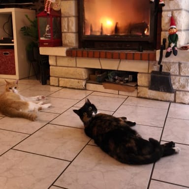 Un coup de pouce pour pixi et biscotte