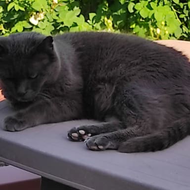 Pour la santé de Bébou, mon petit amour