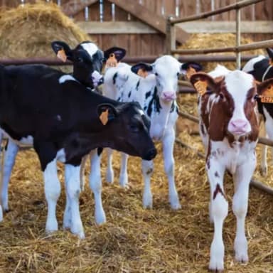Acheter une exploitation agricole