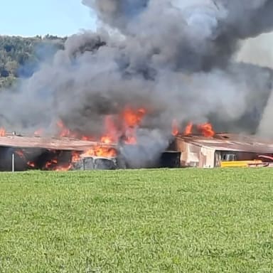 Soutenons un fermier qui a perdu la moitié de son élevage a cause d'un incendie
