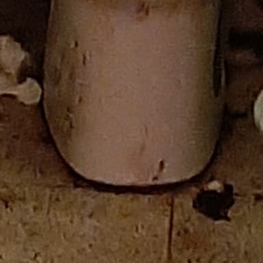 Aidez ma maman  à pouvoir retourner vivre dans sa maison