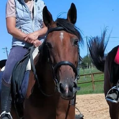 Iratie du vallon