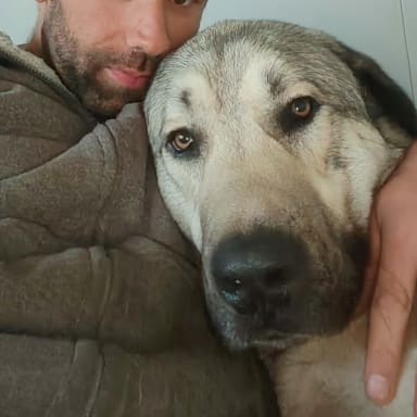 Aidons Loki à continuer son combat