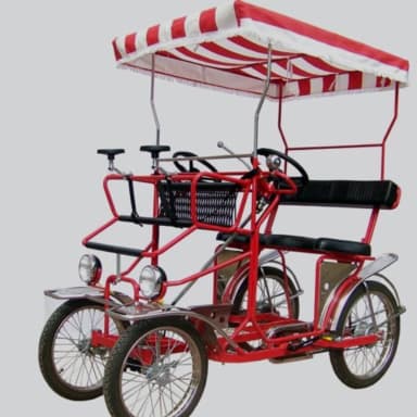 Une rosalie pour nos colocataires autistes!