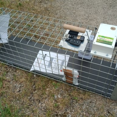Achat cage trappe