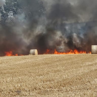 Entraide pour nos chevaux