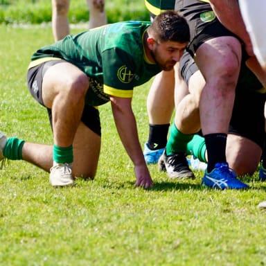 Licence rugby