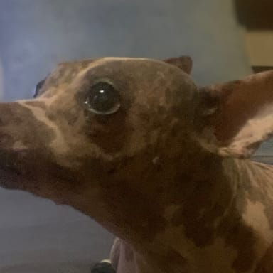 Sauvez Nina !