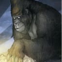 AVATAR_ALT_TEXT
