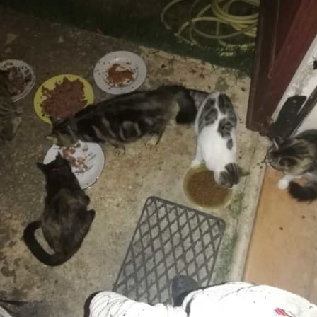 AVATAR_ALT_TEXT