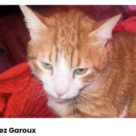 AVATAR_ALT_TEXT