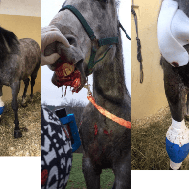 Pour GOLLMYZ DAY - accident VP