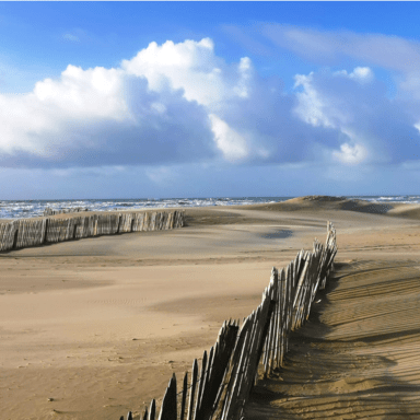 TOUS POUR PARIS-PLAGE SAUVONS LA PLAGE