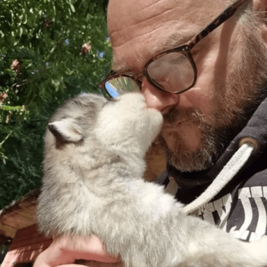Soutien à l'élevage Laouen Ki / Support to Laouen Ki kennel
