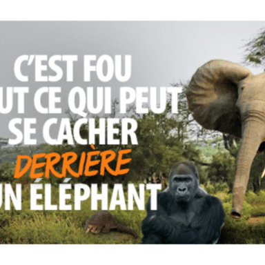 50 ans d'action pour la planète avec le WWF