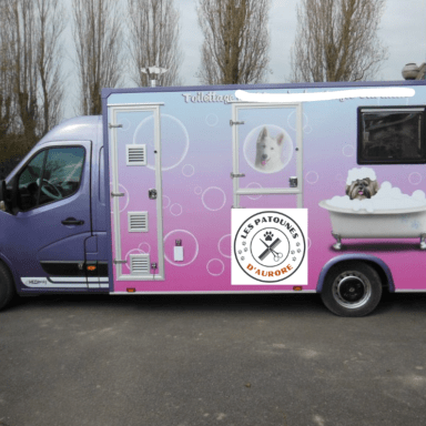 Projet camion de toilettage canin a domicile