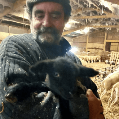 MA FERME SUR LE FIL. Isabelle et Christophe, Les agneaux de Vialavert.