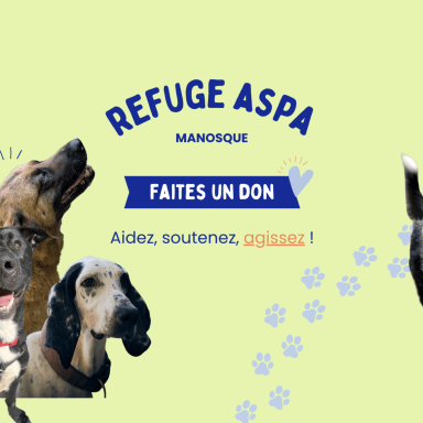 Soutenez le refuge ASPA Manosque & ses pensionnaires