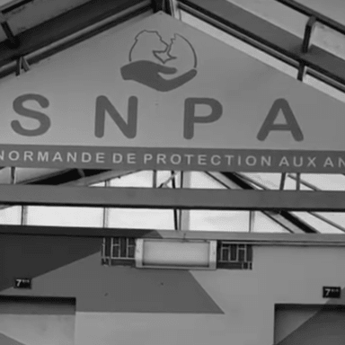 Sauvons la SNPA de Rouen