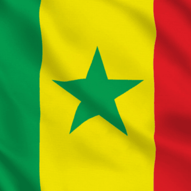 Projet humanitaire au Sénégal