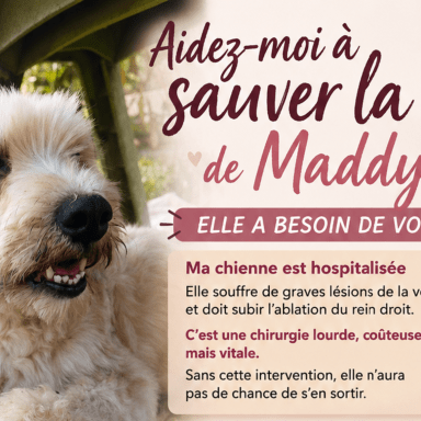 Pour la vie de Maddy