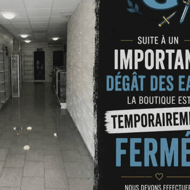 Dégât des eaux