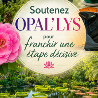 Soutenez OPAL’LYS pour franchir une étape décisive