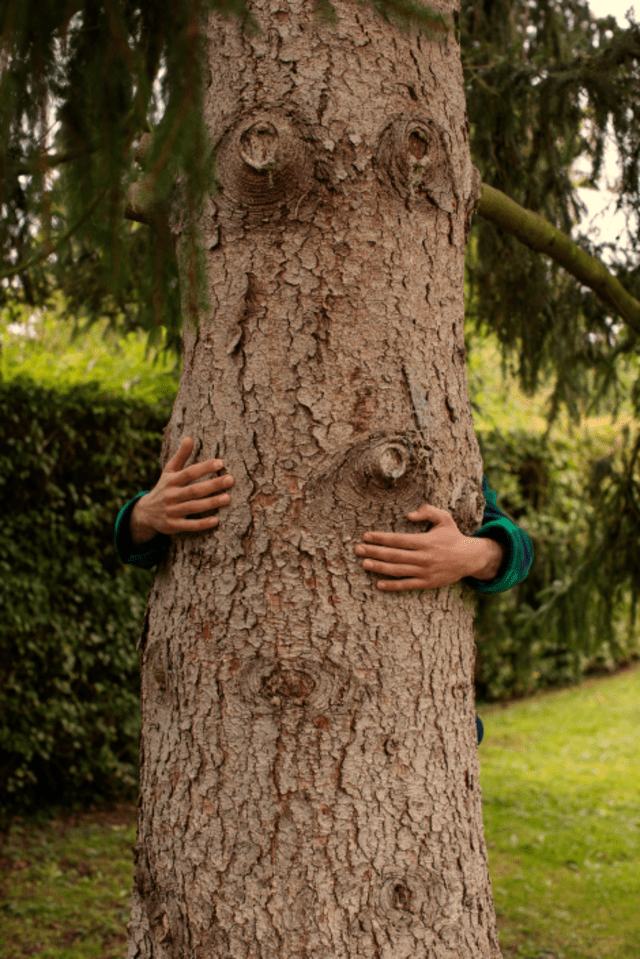 Environnement
