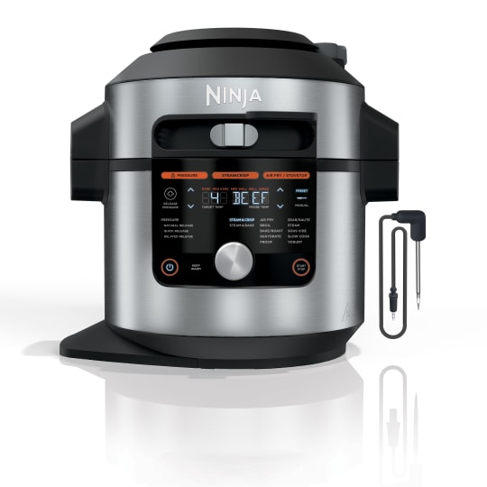 ninja foodi xl 10 in 1