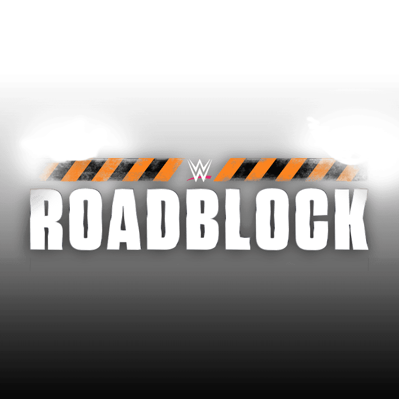 roadblocks game logo