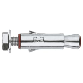 UITZETBAAR PLUG M10x65 + VIJS img