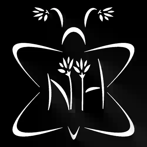 Logo mark combining the letters N and H