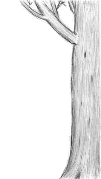 Digital illustration of a tree