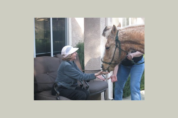 Prestige Assisted Living at Chico Horse week in Expressions 013