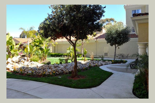 Emeritus at Carlsbad 56NHWF_still_2odr-area